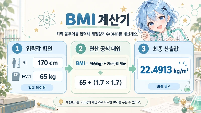 BMI 계산기 계산 방법 및 공식