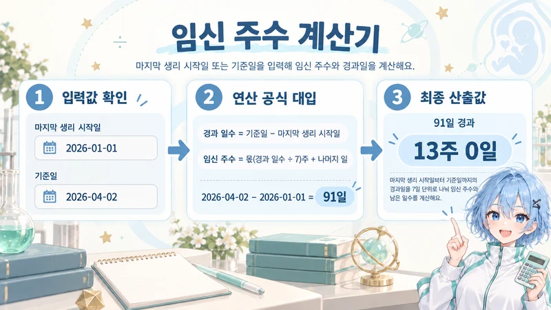 임신 주수 계산기 계산 방법 및 공식